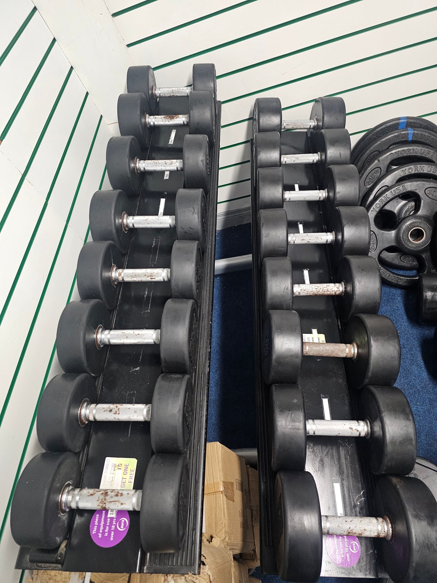 Pro-Active Dumbell Set