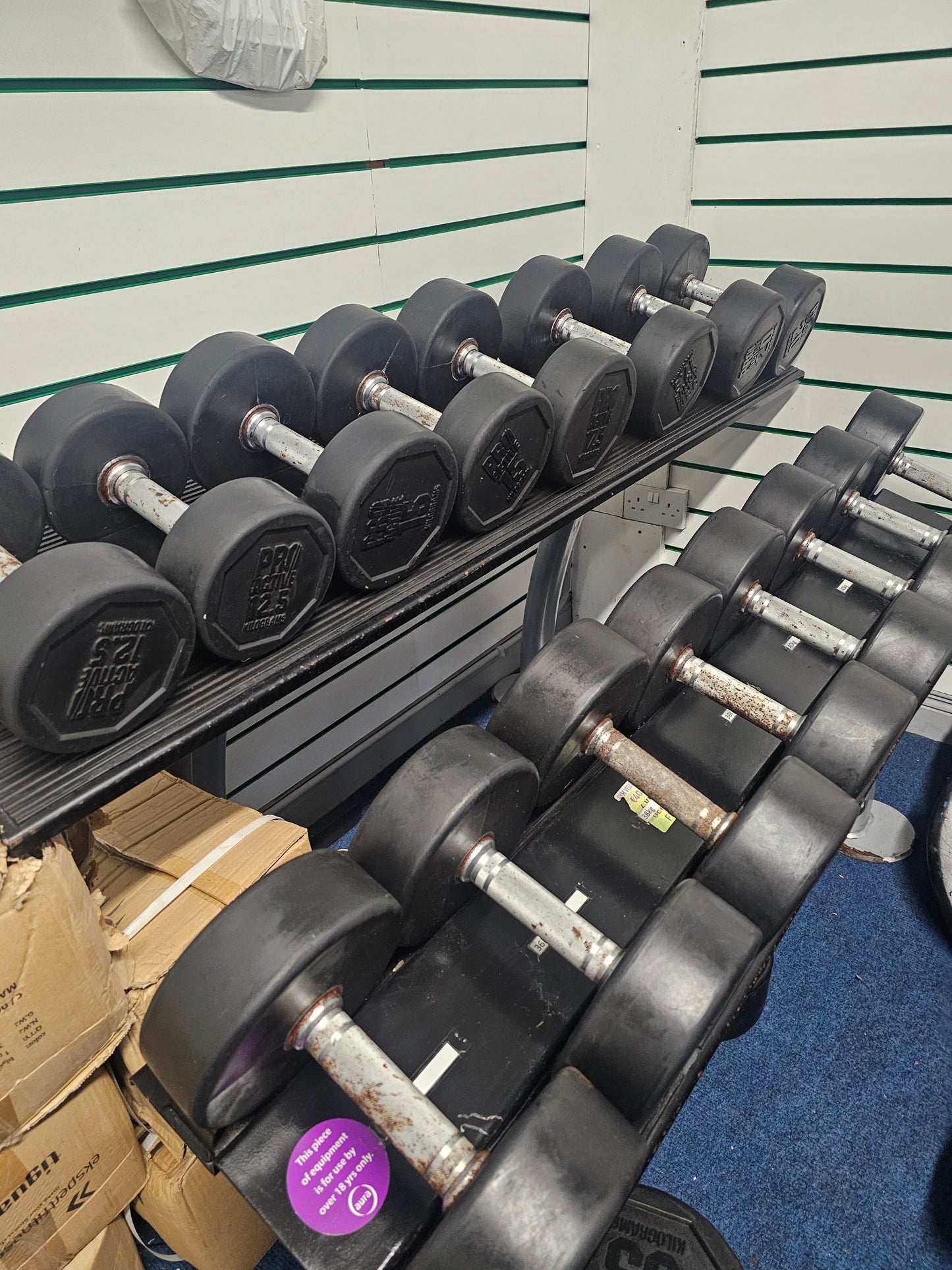 Pro-Active Dumbell Set