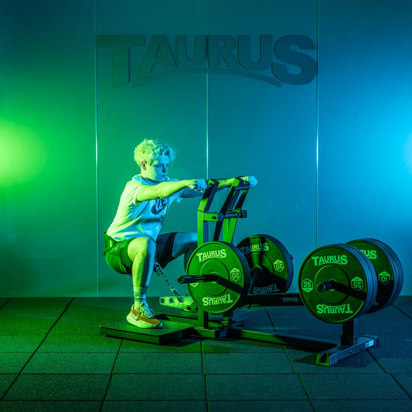 Taurus Pro Iso Belt Squat