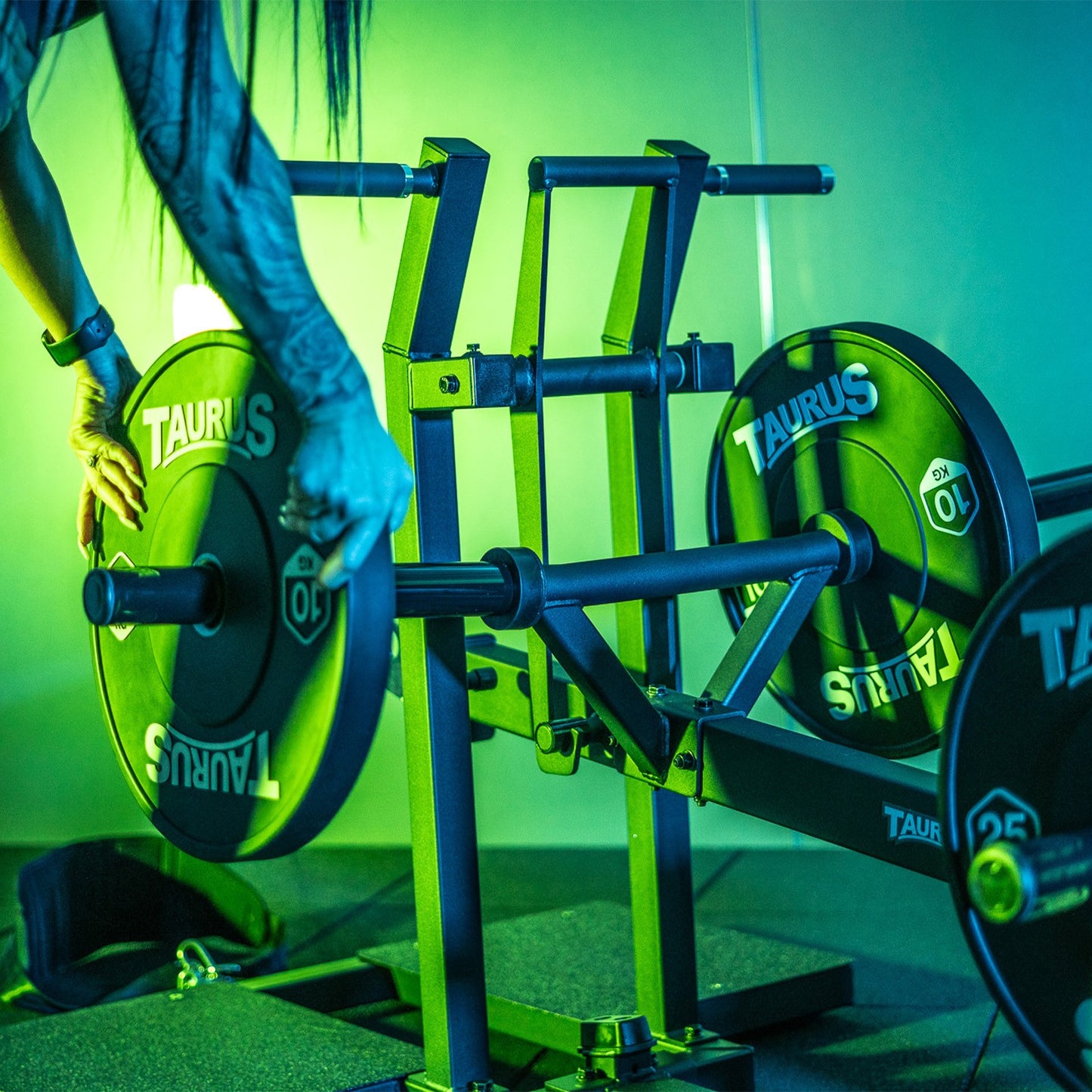 Taurus Pro Iso Belt Squat