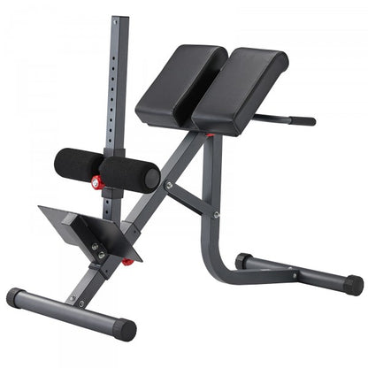 BodyCraft_Back_Trainer_F670_Inclined_Training_Position_1600_1600_600