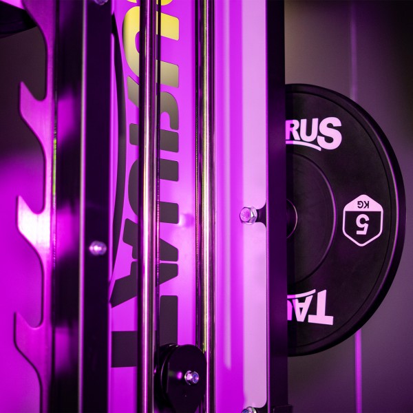 Taurus_Elite_Trainer_Weight_Plate_Storage_1600_1600_600