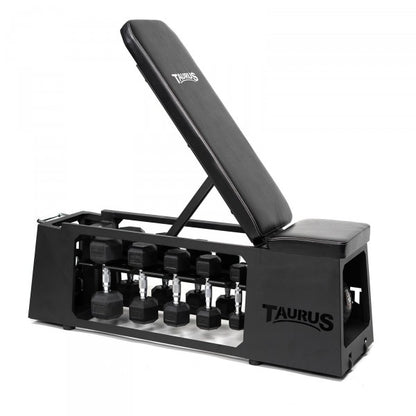 Taurus Elite HIIT Studio Bench