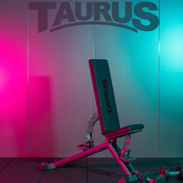 Taurus_SEBR2580_B900_Weight_Bench_Lifestyle_Full_Product_1600x1600px_600