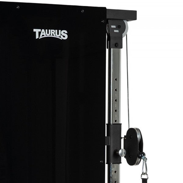 Taurus Design Line Dual Pulley 90kg