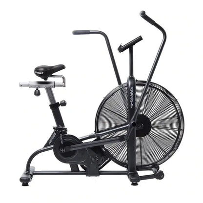 Assault Bike Classic